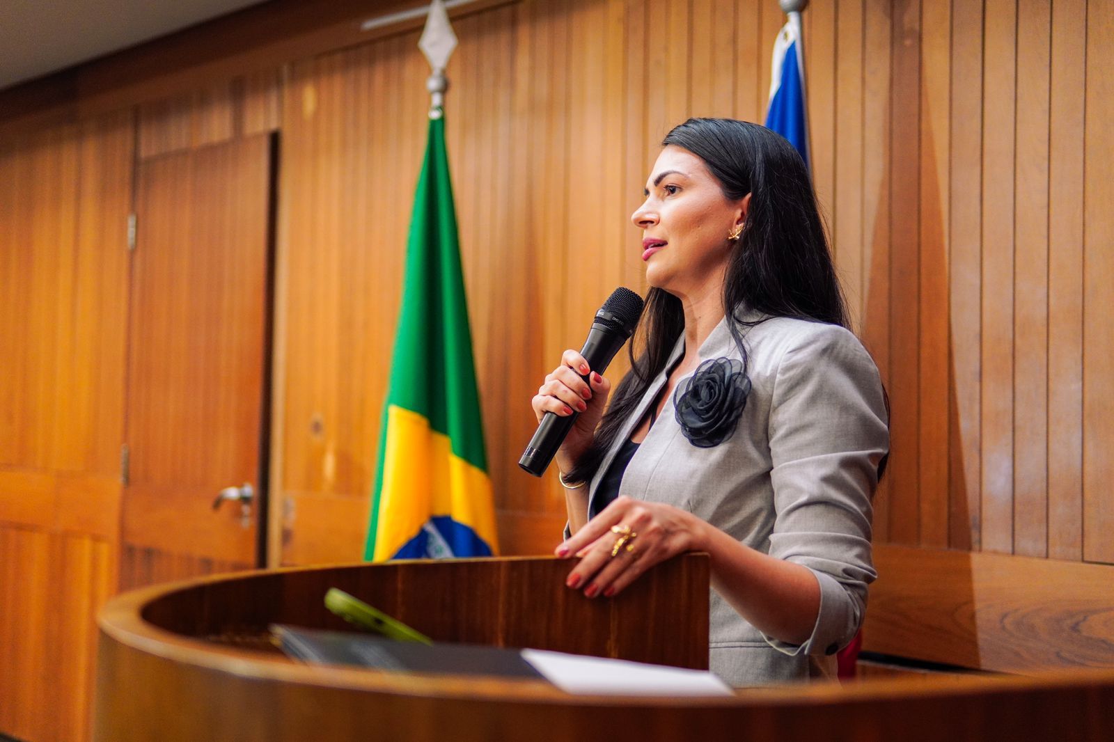 Janaina Ramos faz indicações para educação e saúde